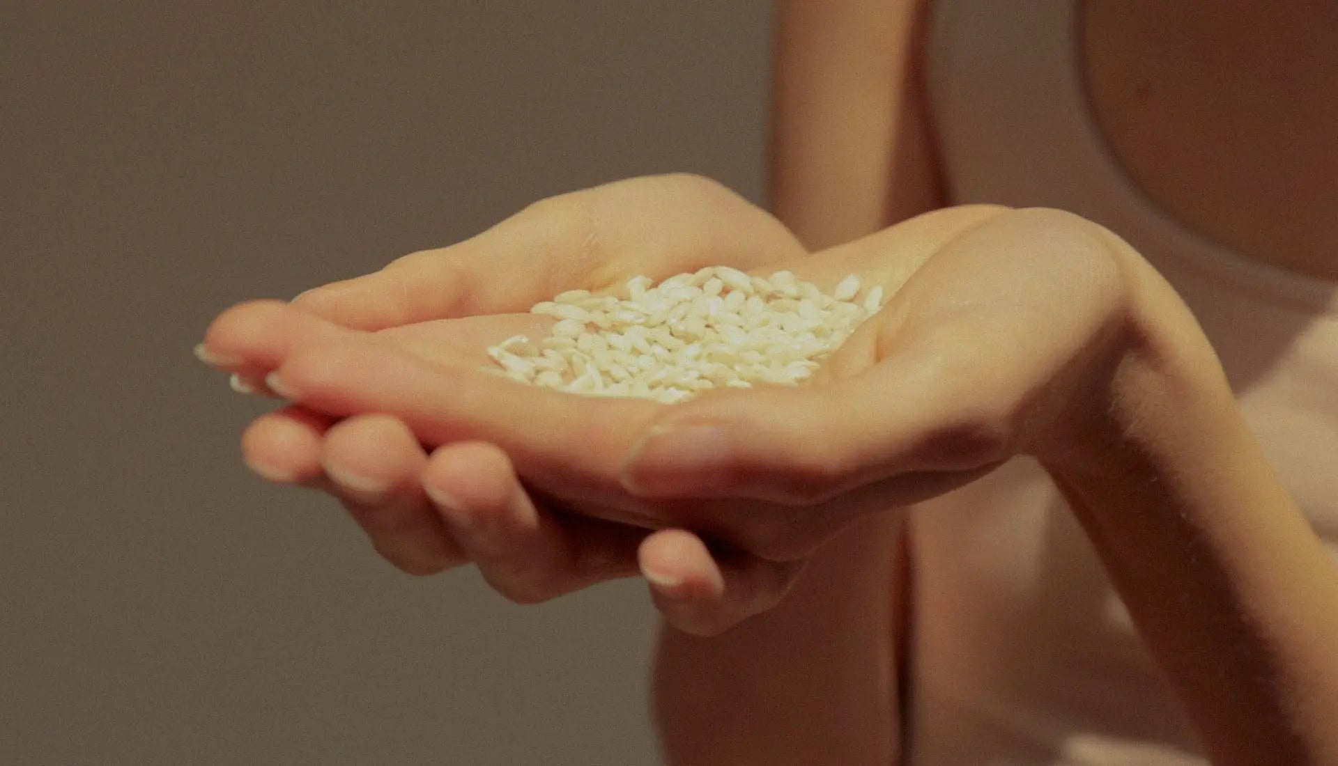 El secreto del arroz