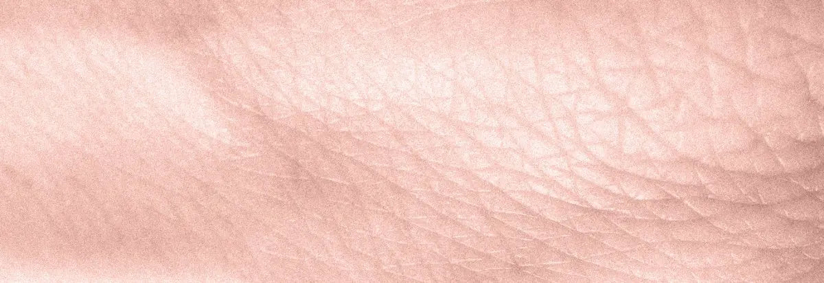 Rejuvenece tu piel: descubre las maravillas del aloe vera