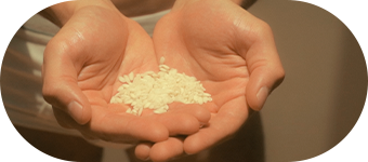 Rice & Shine, productos naturales que cuidan tu piel. El aceite del germen de arroz tiene la mayor carga de vitamina E del mercado.